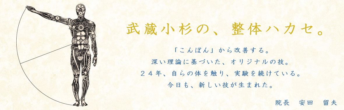 武蔵小杉の、整体ハカセ。